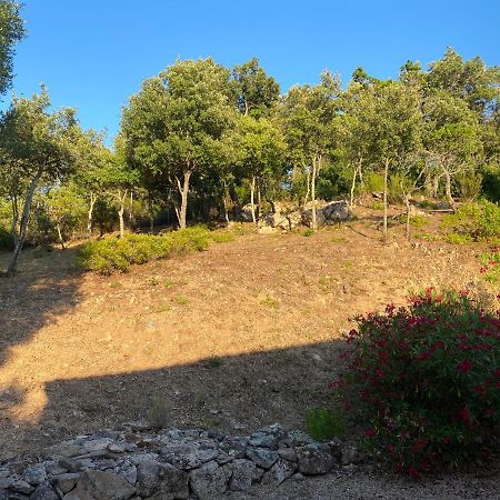 Li Paduleddi Country Guest House Olbia Buitenkant foto