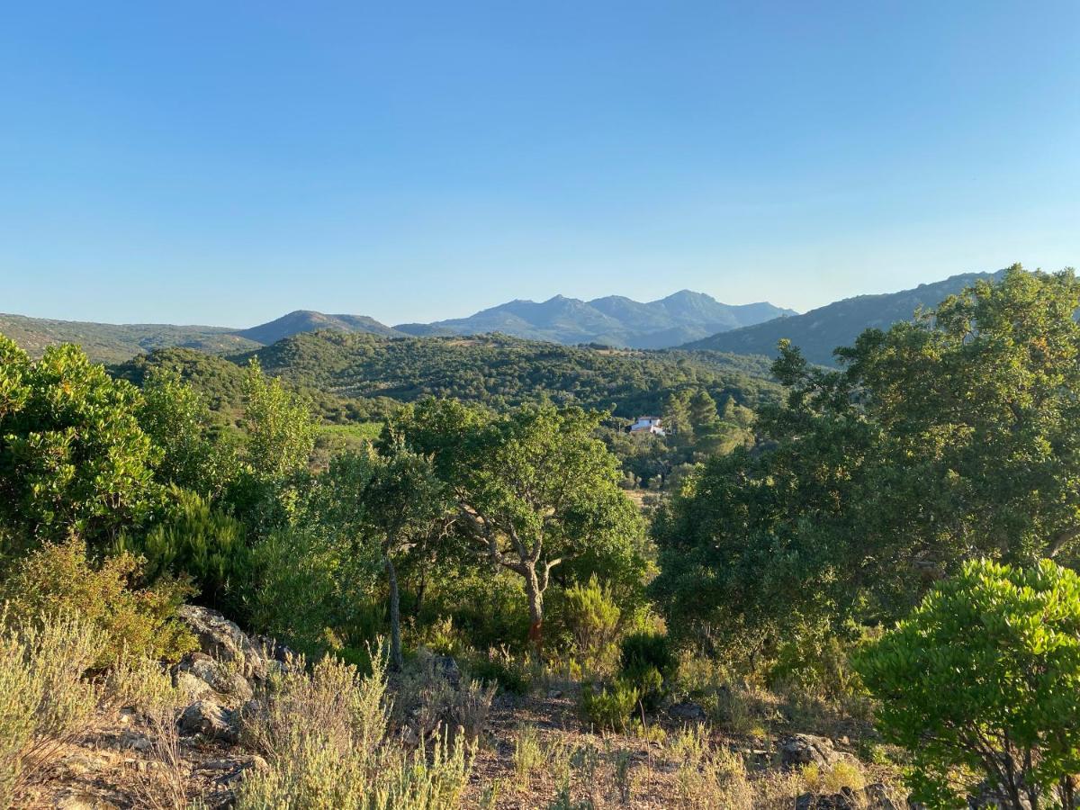 Li Paduleddi Country Guest House Olbia Buitenkant foto
