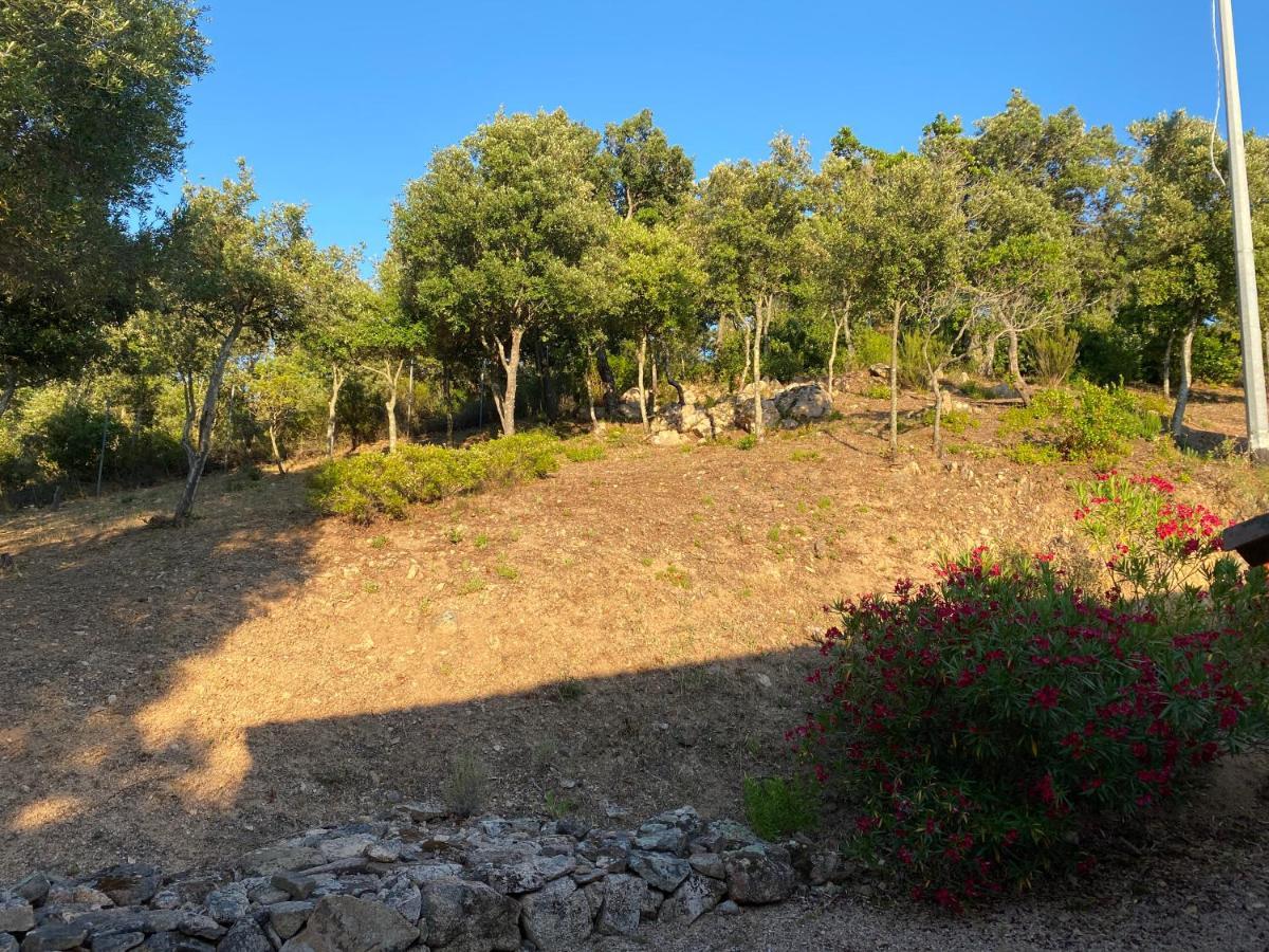 Li Paduleddi Country Guest House Olbia Buitenkant foto