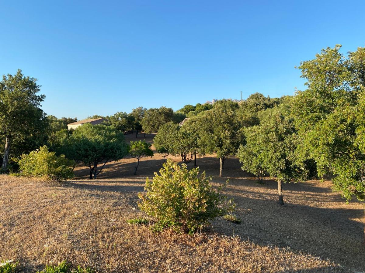Li Paduleddi Country Guest House Olbia Buitenkant foto