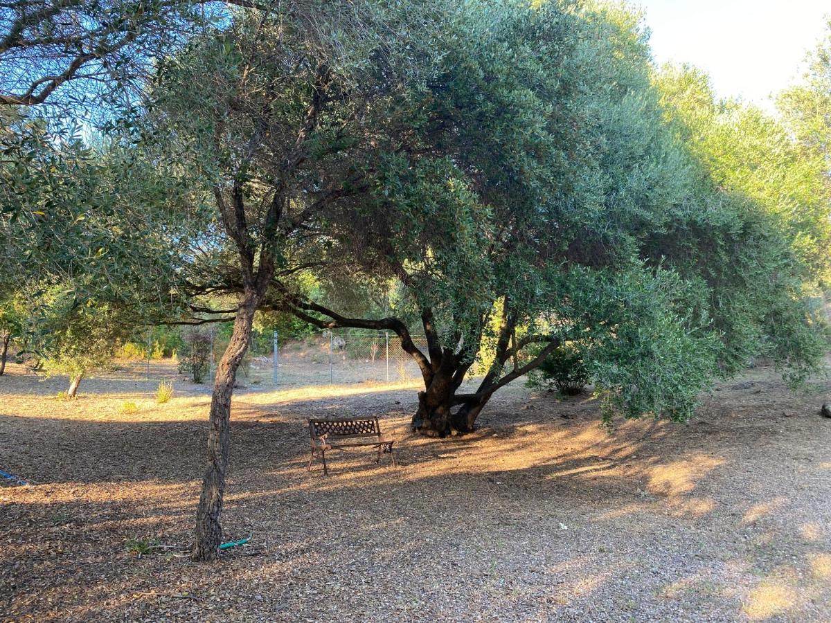 Li Paduleddi Country Guest House Olbia Buitenkant foto