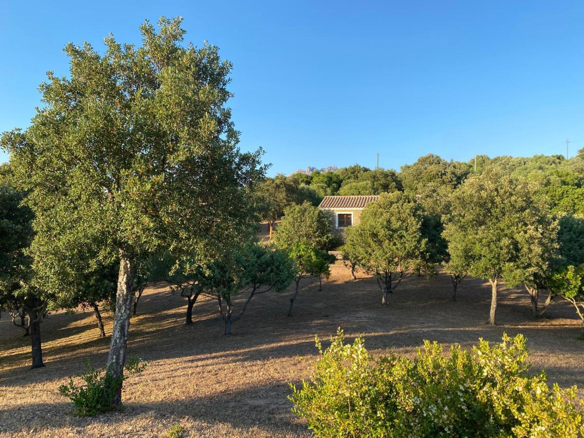 Li Paduleddi Country Guest House Olbia Buitenkant foto