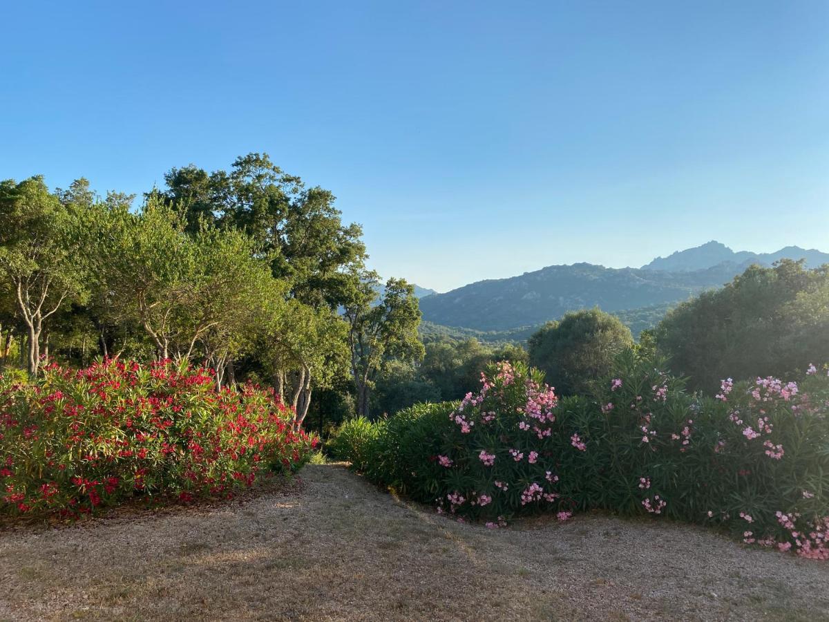 Li Paduleddi Country Guest House Olbia Buitenkant foto