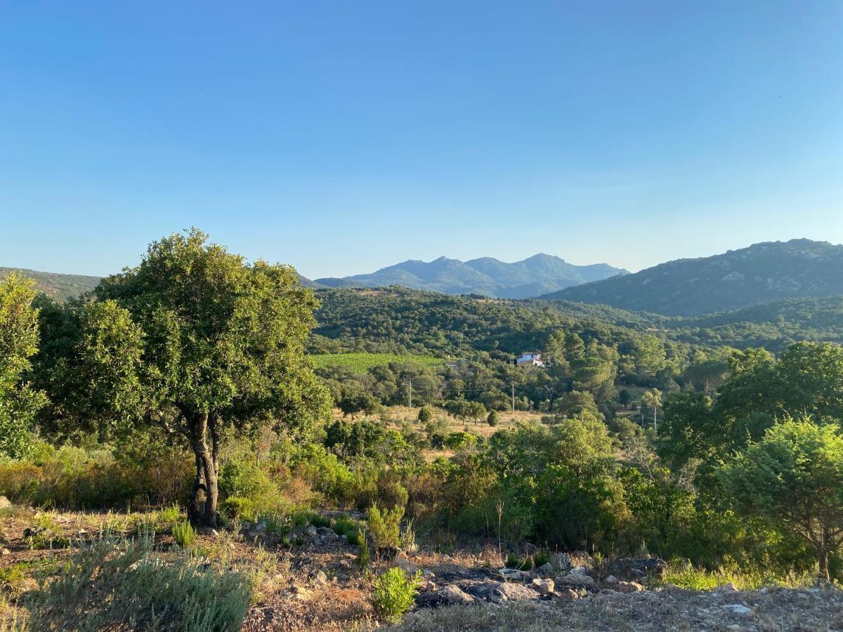 Li Paduleddi Country Guest House Olbia Buitenkant foto